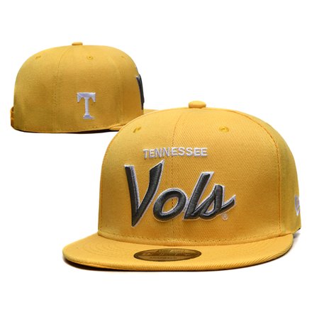 Tennessee Titans Snapback Hat